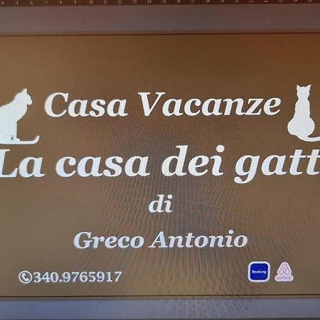 La Casa Dei Gatti Apartment Syracuse Ngoại thất bức ảnh